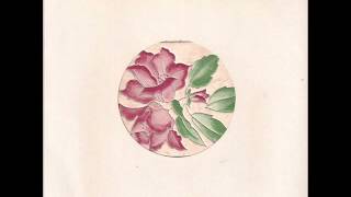 Delphium - Lie to me