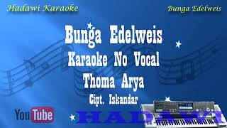 Download lagu Thomas Arya - Bunga Edelweis || Karaoke Tanpa Vokal mp3