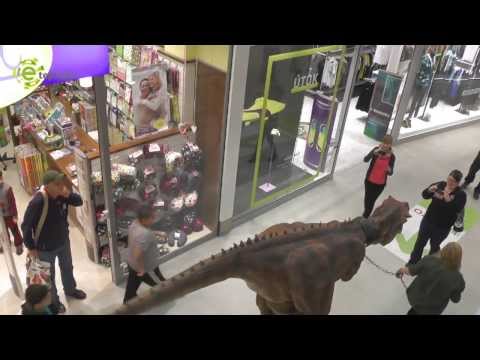 Oživlý dinosaurus vyrazil na řetězu mezi lidi v teplické Galerii