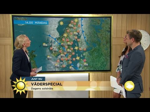 Väderspecial: Dagens solstråle - Nyhetsmorgon (TV4)