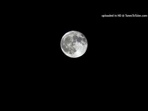 [Free] The Streets x Fred again.. x Kanye West Type Beat "Lunatics"