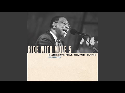 It's a Blues World (feat. Tommie Harris) (Live)