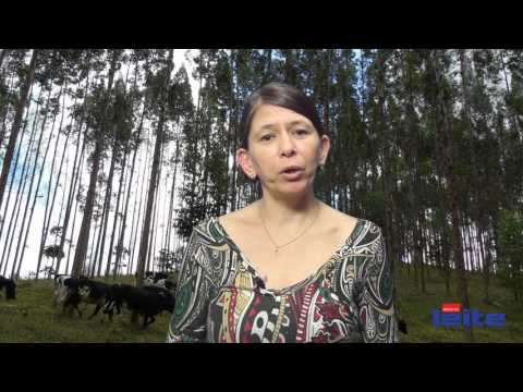 Mundo do leite dá exemplo de sucessão familiar bem-sucedida