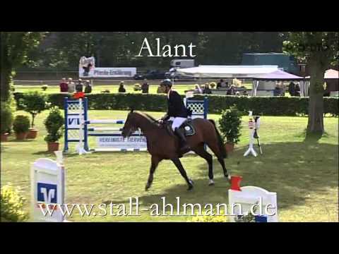 Alant Landeschampionat 2012