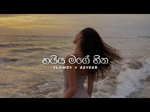 Haiya Mage Hitha ( හයිය මගේ හිත ) slowed + reverb