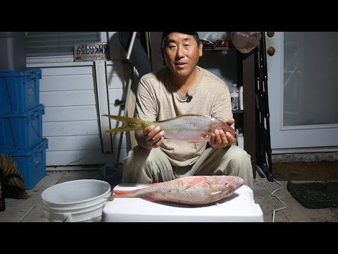 What's For Lunch?  Yellowtail Snapper On The Half Shell