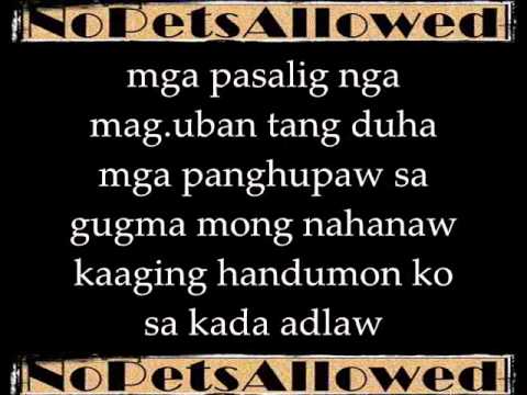 The Lame Song - NoPetsAllowed Lyrics on screen