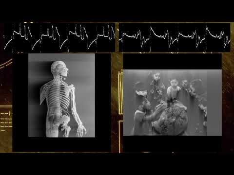 First Ever Decode of Voyager Audio Images, in Real Time.