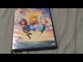 PIRATE FAIRY DVD Overview