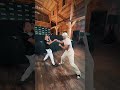 The Presence Of Greatness My Shadow Boxing Just Became An Dance OfficialCalebPlant Jaronennis