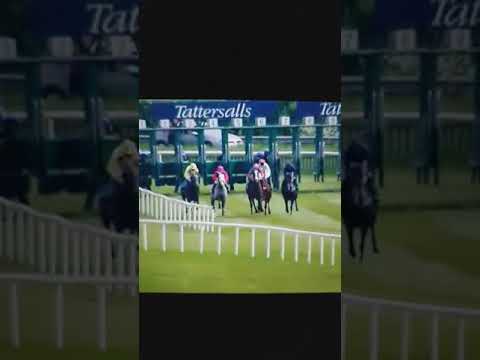 Tattersalls Gold Cup Curragh 2018-lancaster bomber
