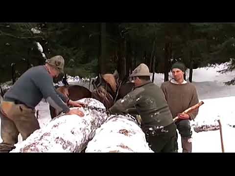 Waldarbeiten Anno dazumal