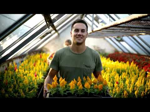 Tiempo de Intimidad 01- Clip -  Marcos Brunet - Video Look Music