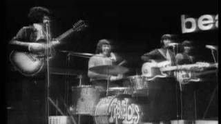 The Tremeloes - My Little Lady (Beat Club - Jan 25, 1969)