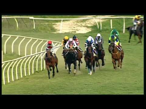 Galoppo 25/02/2020 - 3ª corsa