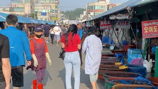 Hotel, Restaurants, Coffee Shop & Lighthouse at Oido Sea Beach-오이도 빨강등대 / 오이도 해안 근처 호텔, 식당, 커피숍