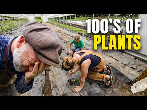 We Have to Plant Hundreds of Plants in One Week (Or Lose the Season)