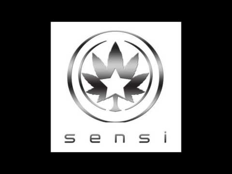 DJ PANIK & ANOMY - Sensi