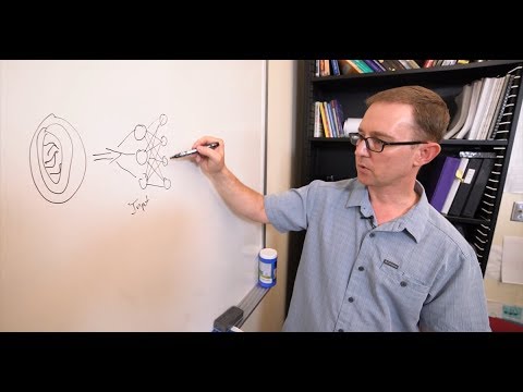 Quantum Molecular Dynamics: The Future of Molecular Simulation