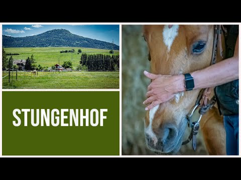 KURS VILL.-SCHW. | Wellendingen | Stungenhof