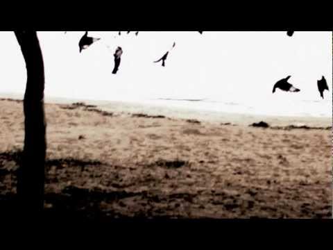 The Tallest Man On Earth - "1904"