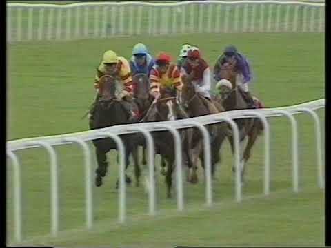 1991 Newgate Stud Middle Park Stakes