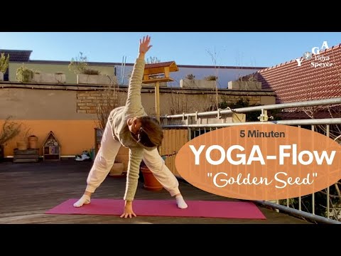 Functional Yoga Flow "Golden Seed" (orig. Suzee & Paul Grilley) mit Shakti