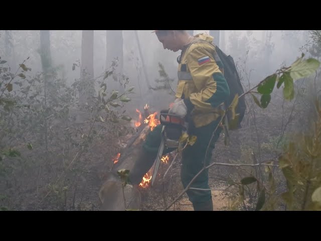 В Приангарье за сутки ликвидировали 7 крупных возгораний