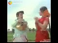 Jingu Jingu MGR Version Whatsapp Status
