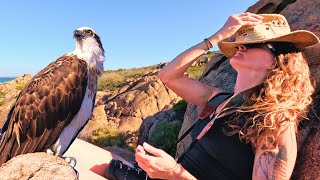 Hidden Gems Coastal Walk & Australian Wildlife | Nature Adventure Australia's South West