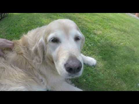 Germany & Switzerland 2017