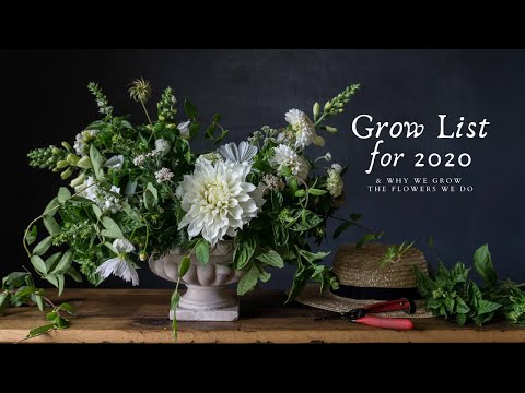 Grow List for 2020  |  Why we grow the flowers we do  |  Redneck Couture  |  Side Hustle Flower Farm