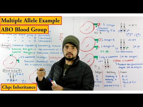 ABO Blood Group System Detailed lecture (Multiple allele example) chapter Genetics / Inheritance