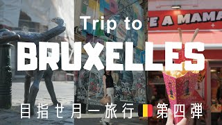旅行VLOG：弾丸6時間ベルギー🇧🇪ブリュッセル観光｜日帰り｜本場のワッフルはやっぱ違った！｜#目指せ月一旅行✈︎第四弾
