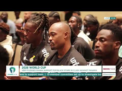 Don’t Let Ghanaians Down — Veep Opoku-Agyemang Charges Black Stars | News Feed