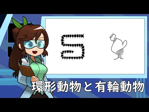 環形動物の種類 - 名前、例、特徴