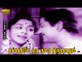 தங்கத்திலே ஒரு குறை இருந்தாலும் பாடல
