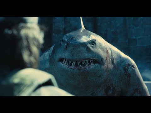 [더 수어사이드 스쿼드] 킹 샤크 입덕 영상