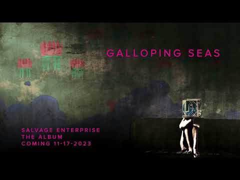 The Polyphonic Spree - Galloping Seas (Visualizer)