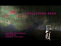 The Polyphonic Spree || Galloping Seas