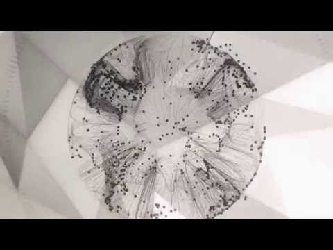 Metamorphosis - 3D Animated HD