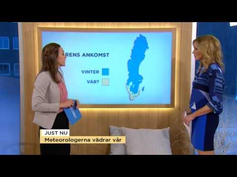 Många vårtecken från tittarna - Nyhetsmorgon (TV4)
