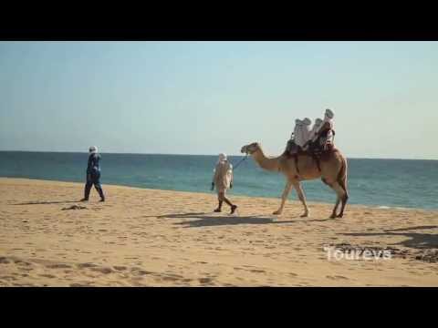 Cabo San Lucas : Camel Ride