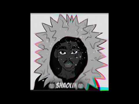 SHAOLIN511-Dixa deh kuzas pt.1