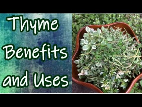 Benefits of Thyme