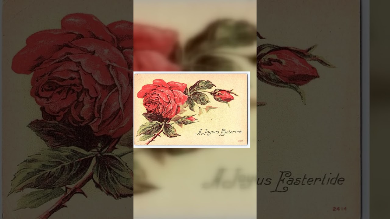 A Joyous Eastertide, Linen Postcard, Roses, Early 1900s Video