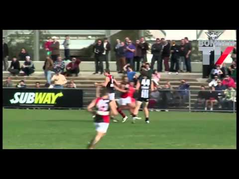 BTV: Daniher VFL highlights