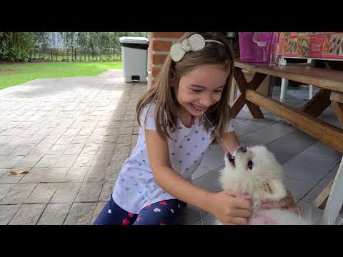 Laura tentando arrancar dente