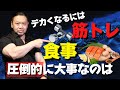 【食事が9割？！】筋肉をデカくするのに圧倒的に必要なのは食事？筋トレ？