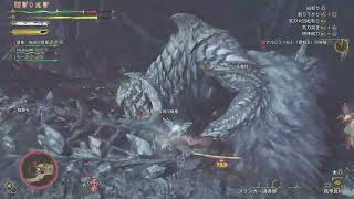 vs 歴戦王タシンの尿路結石壁オナモンスター